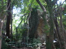 古事記おじさんのブログ-立石神社