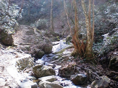 入門編・船通山（島根県側登山道）